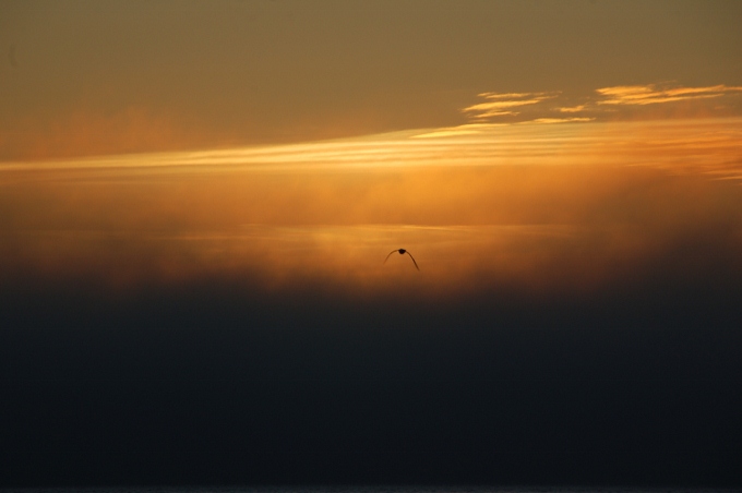 sunset over Whidbey Island